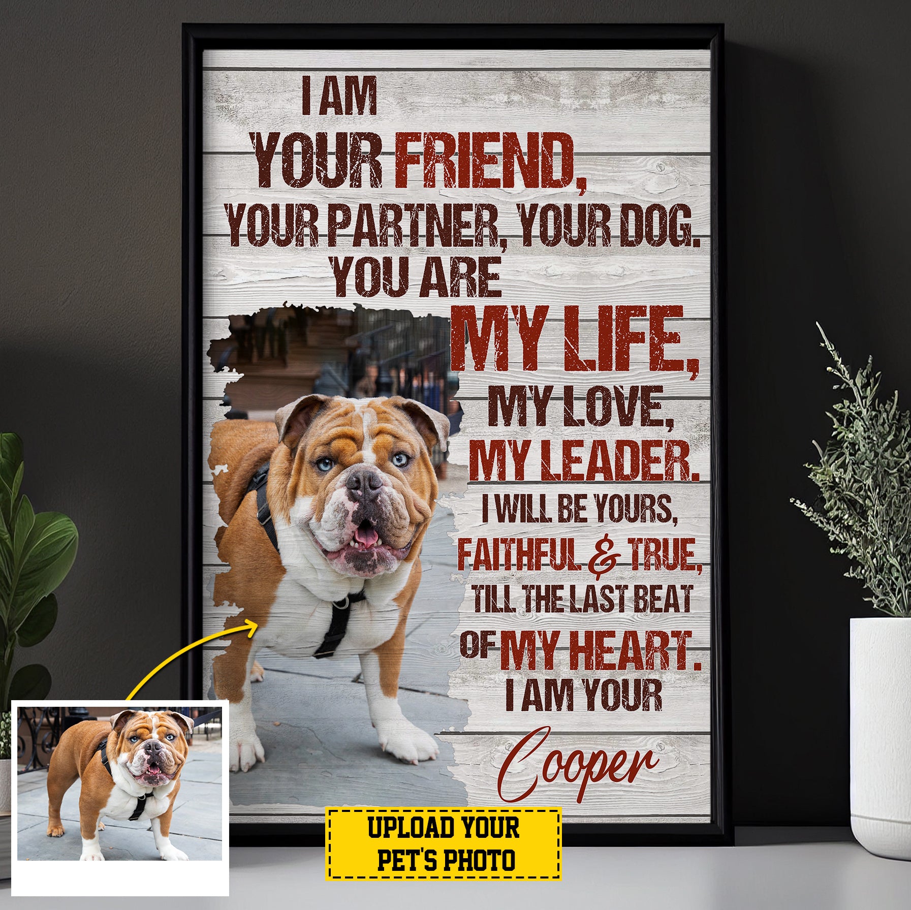 Bageyou - Zerbino personalizzato con nome di cane con scritta My Love Dog Bruxelles Griffon Welcome Mat Not need to knock I know you 're here, Brugr, L - 35.4x23.6 Bageyou - Zerbino personalizzato con nome di cane con scritta My Love Dog Bruxelles Griffon Welcome Mat Not need to knock I know you 're here, Brugr, L - 35.4x23.6