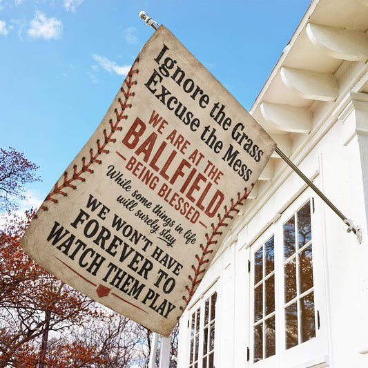 Baseball Garden Flag & House Flag, Ignore The Grass Excuse The Mess Outdoor Decor, Yard Flag Gift For Baseball Lover