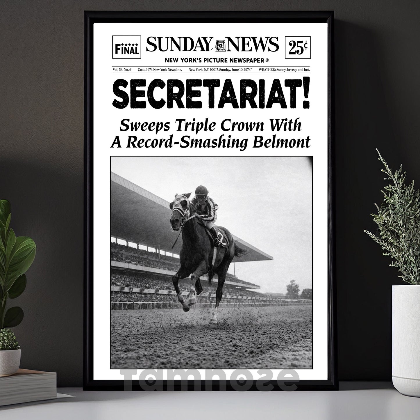 Secretariat Horse Canvas Painting, Secretariat Sweeps Triple Crown Wall Art Decor, Poster Gift For Horse Racing Lovers, Fan Of Kentucky Derby