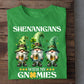 St Patrick's Day T-shirt, Shenanigans With My Gnomies, Patricks Day Gift For Gnome Lovers, Farmer Tees