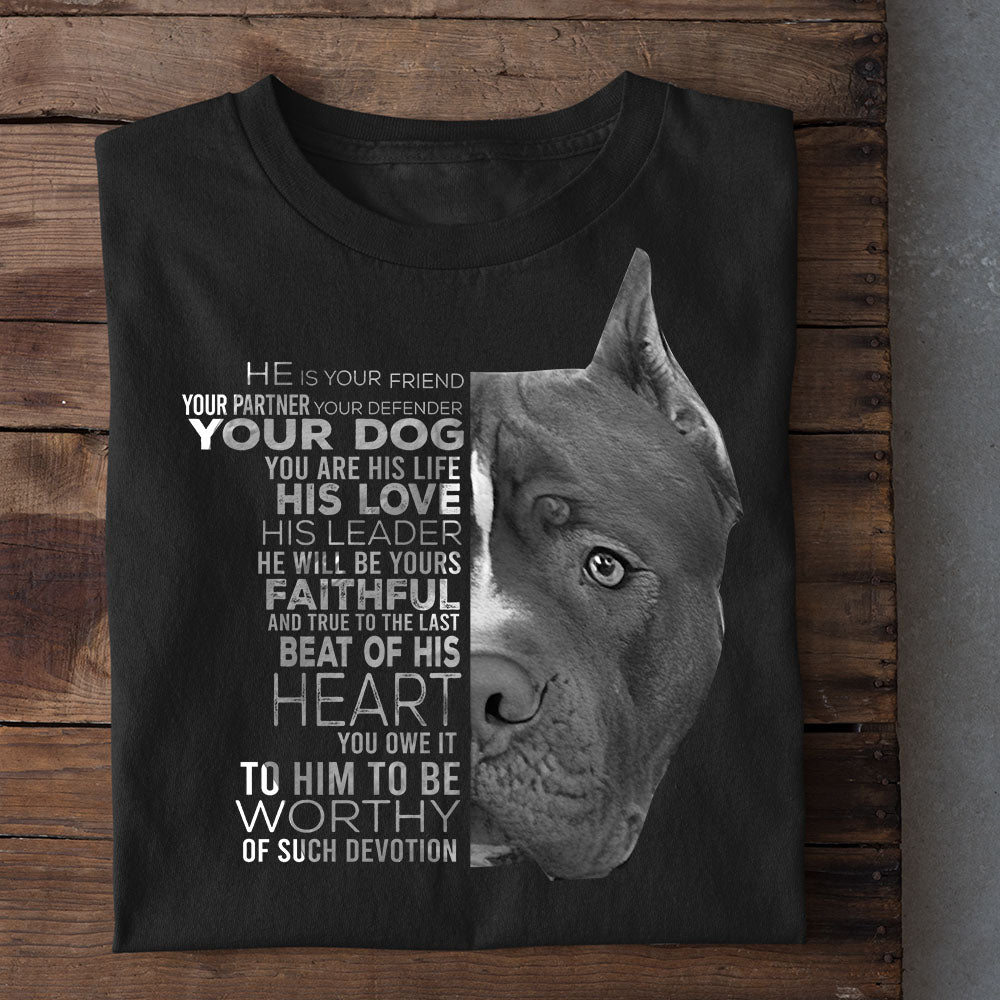 Funny Pitbull Dog T-shirt, He Is Your Friend Your Partner, Gift For Dog Lovers, Dog Owners Tee