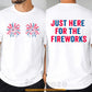 Funny July 4th Two-sided T-shirt, Just Here For The Fireworks Tees Independence Day Gift For American Patriot