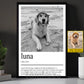Personalized Dog Canvas Painting, A Heart With Four Legs Wall Art Decor, Poster Gift For Dog Lover