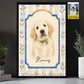 Personalized Dog Canvas Painting, Every Paw Tells A Story Wall Art Decor, Poster Gift For Dog Lover
