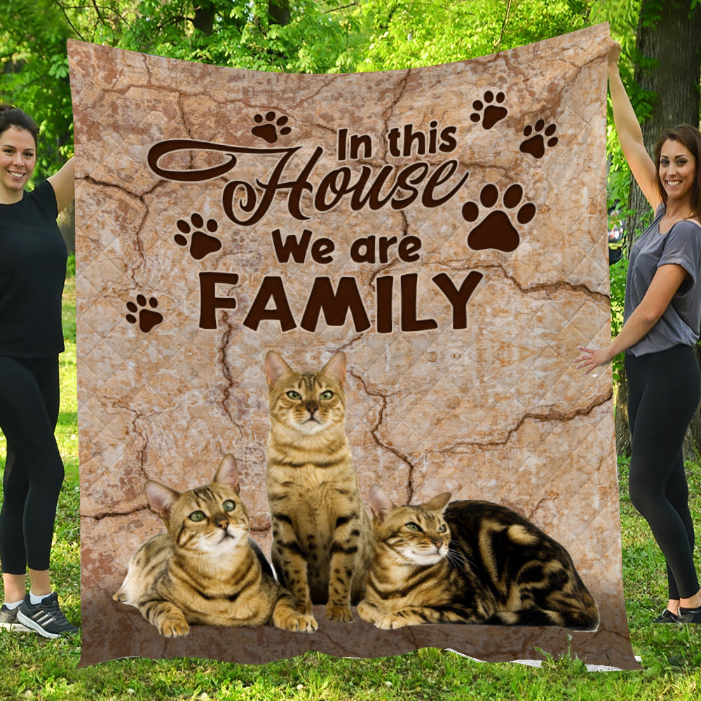 Cat Blanket, In This House We Are Family Fleece Blanket - Sherpa Blanket Gift For Cat Lover, Cat Owners