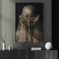 Gothic Halloween Moth Canvas Painting, Moth Veiled Woman Wall Art Decor, Spooky Season Poster Gift To Decor House Or Office