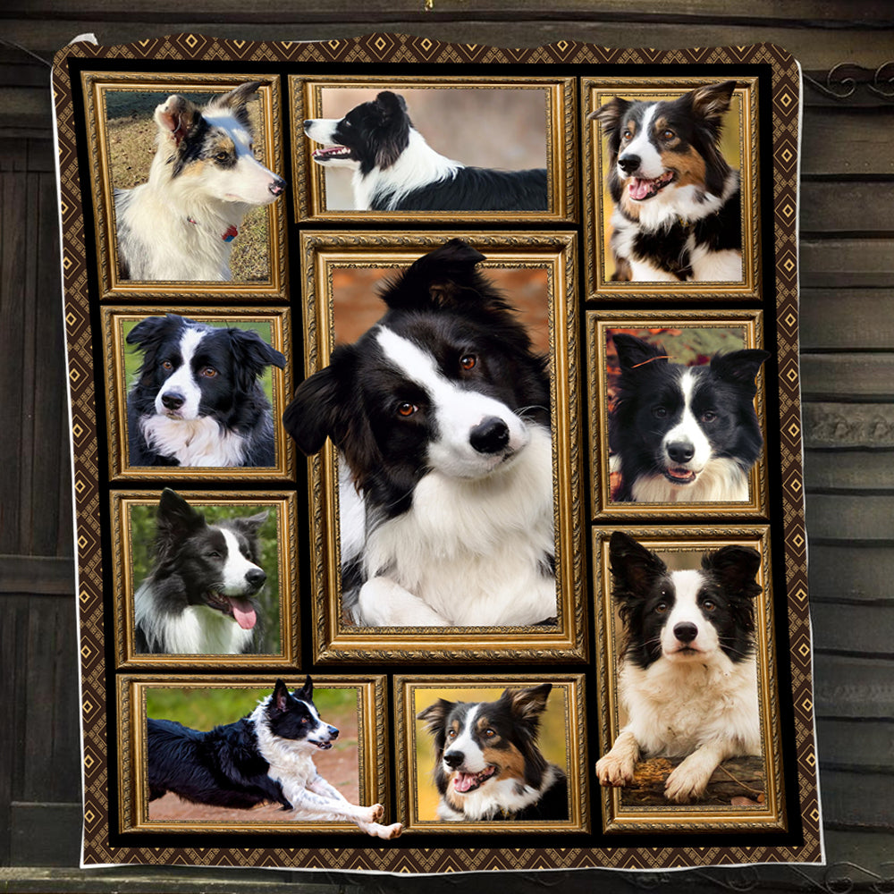 Cute Dog Blanket, Baby Border Collie Silly Looking At You Fleece Blanket - Sherpa Blanket Gift For Dog Lovers, Dog Owners