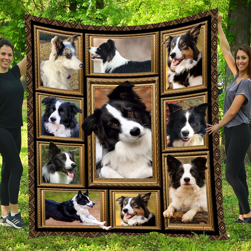 Cute Dog Blanket, Baby Border Collie Silly Looking At You Fleece Blanket - Sherpa Blanket Gift For Dog Lovers, Dog Owners