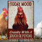 Funny Chicken Metal Sign, Today Mood Cranky With A Touch Of Psycho Farm Sign, Farm Decor Gift For Chicken Lovers
