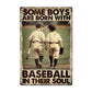 Motivational Baseball Metal Sign, Some Boys Are Born With, Welcome To The Magical Garden Backyard Sign, Gift For Baseball Lovers
