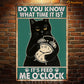 Funny Cat Metal Sign, Do You Know What Time It Is Bathroom Sign, Restroom Decor Gift For Cat Lover