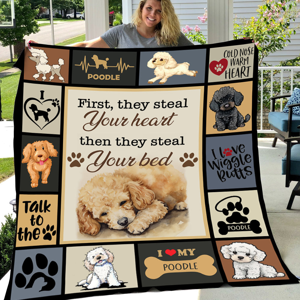 First We Steal Your Heart, Shih Tzu Tshirt Love Gift First We Steal Your Heart, Shih Tzu Tshirt Love Gift