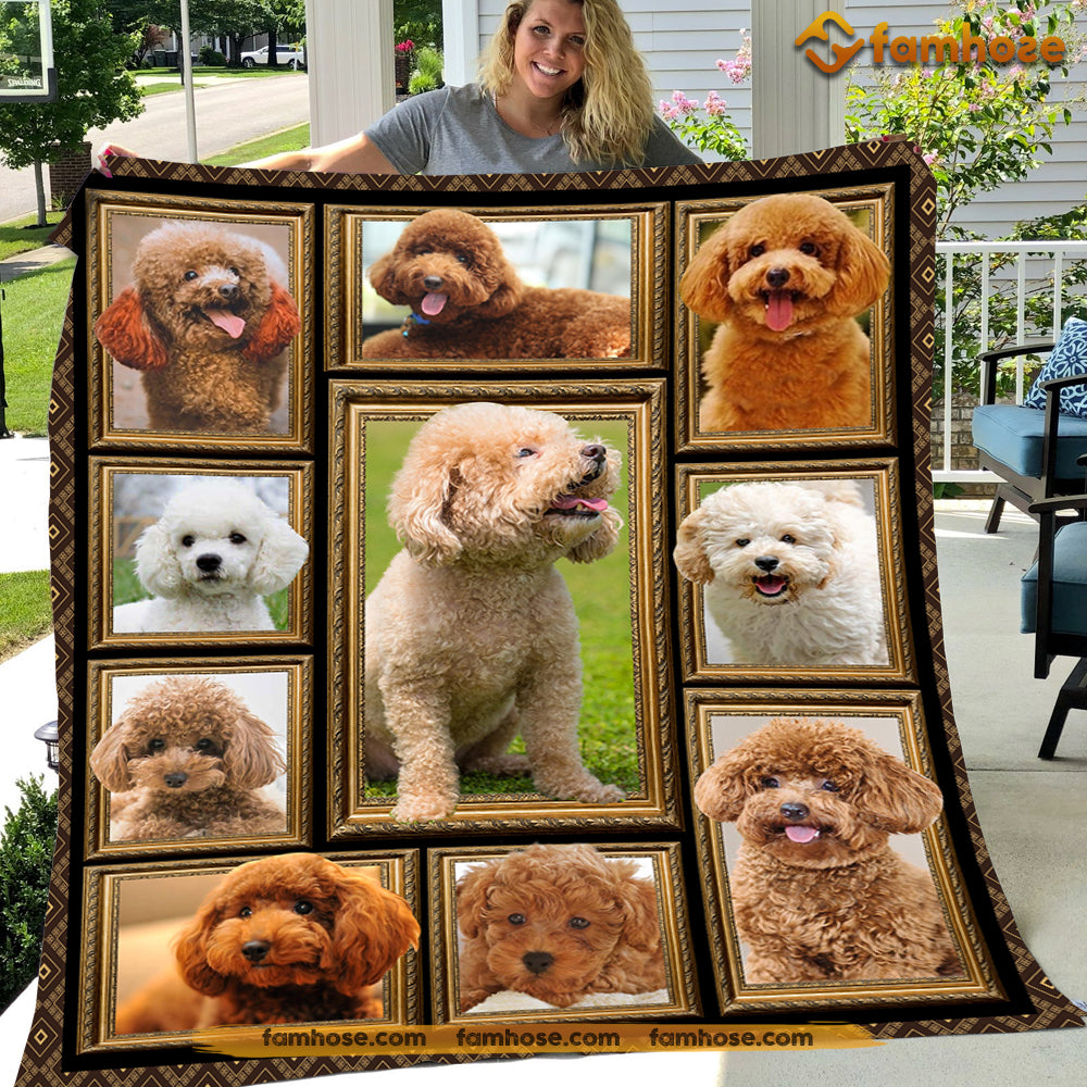 Cute Dog Blanket, Hey Look At Me Baby Poodle Fleece Blanket - Sherpa Blanket Gift For Dog Lovers, Dog Owners