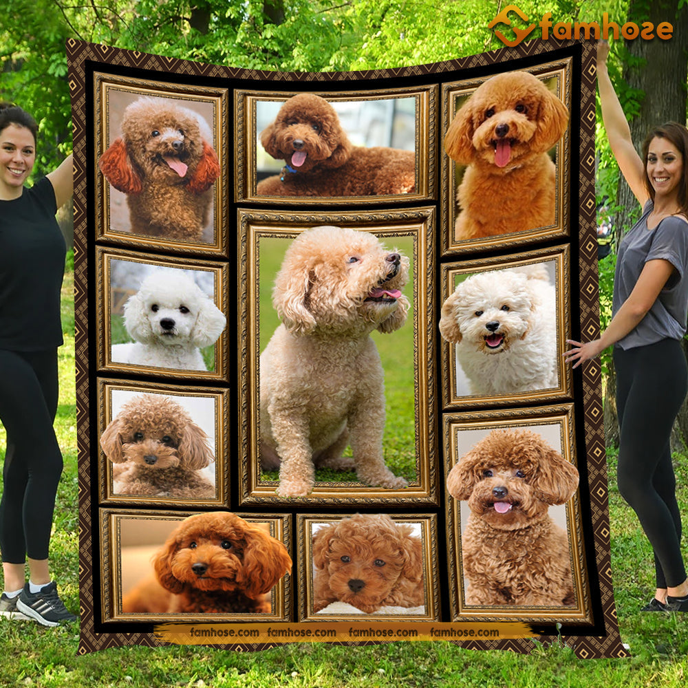 Cute Dog Blanket, Hey Look At Me Baby Poodle Fleece Blanket - Sherpa Blanket Gift For Dog Lovers, Dog Owners