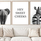 Funny Set Of 3 Bathroom Canvas Painting, Hey Sweet Cheeks Toilet Wall Art Decor, Restroom Poster Gift