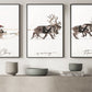 Gallery Set Of 3 Christmas Santa Claus With A Sleigh, Santa Christmas Canvas Painting, Xmas Wall Art Decor - Christmas Poster Gift