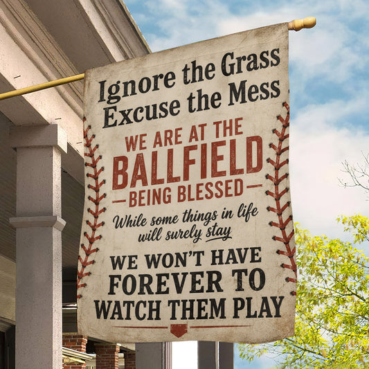 Baseball Garden Flag & House Flag, Ignore The Grass Excuse The Mess Outdoor Decor, Yard Flag Gift For Baseball Lover