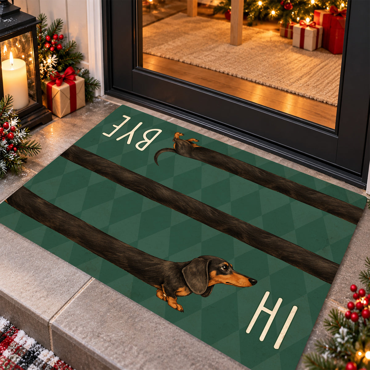 Funny Dachshund Dog Doormat, Hi Bye Black And Tan Wiener Dog Doormat For Home Decor Housewarming, Welcome Mat Gift For Dog Lover