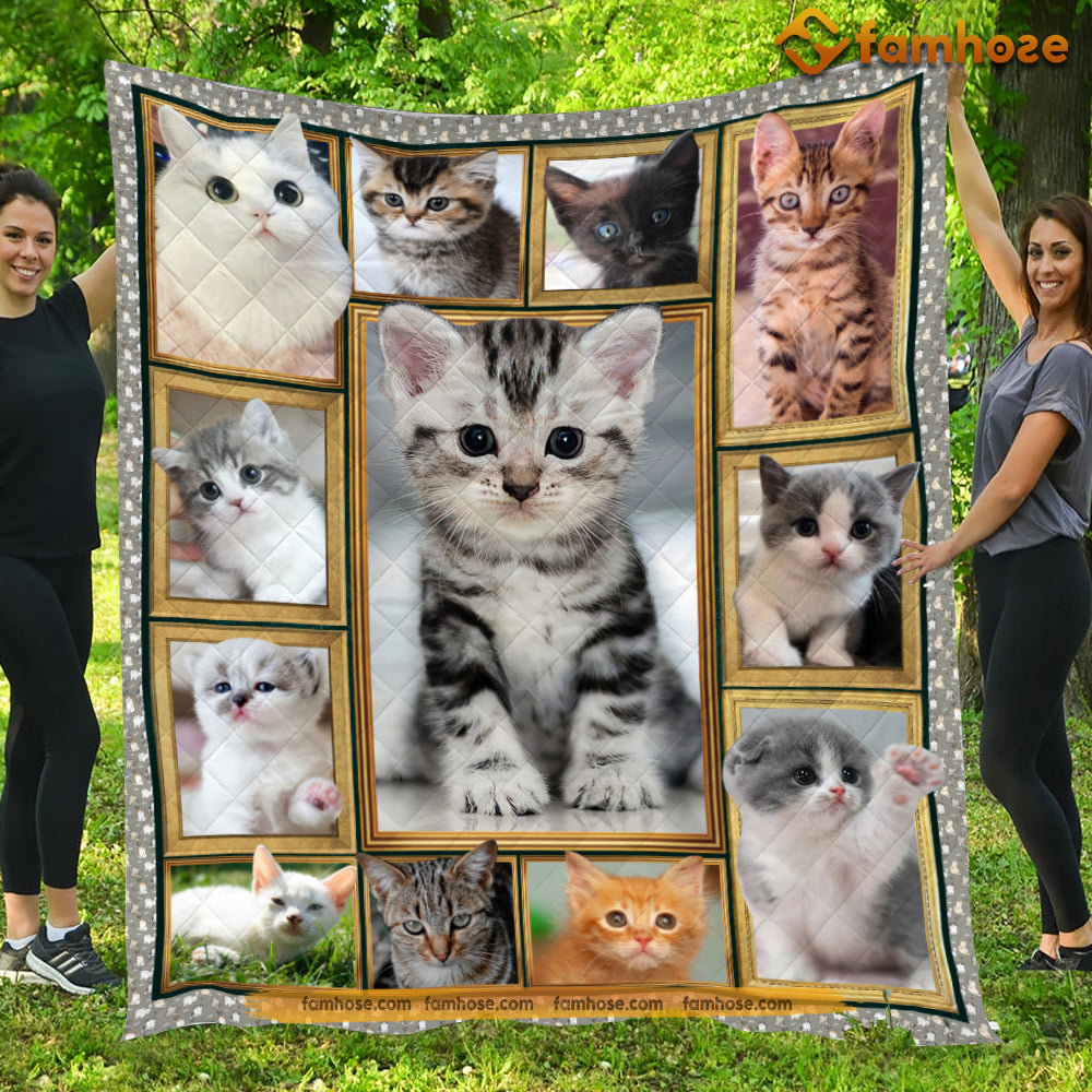 Cat Blanket, Cute Baby Cat With The Beautiful Eyes Fleece Blanket - Sherpa Blanket Gift For Cat Lover, Cat Owners